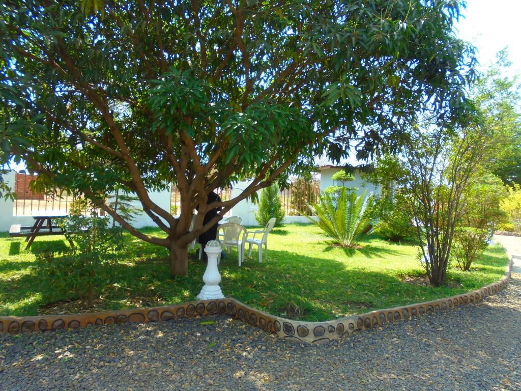 White Rose Lodge Livingstone Eksteriør billede