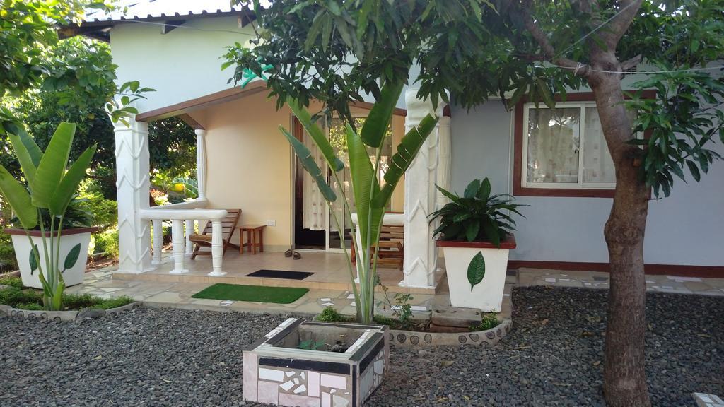 White Rose Lodge Livingstone Eksteriør billede